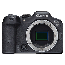 EOS R7 (Body)